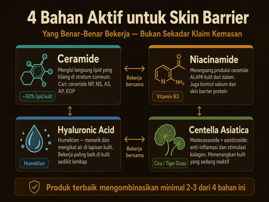 bahan aktif untuk memperbaiki skin barrier ceramide niacinamide hyaluronic acid centella cara kerja