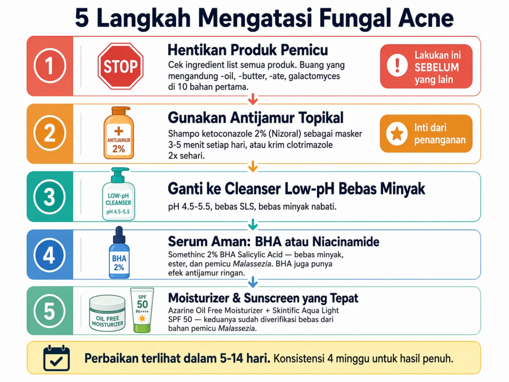 cara mengatasi fungal acne 5 langkah berurutan antijamur ketoconazole skincare aman