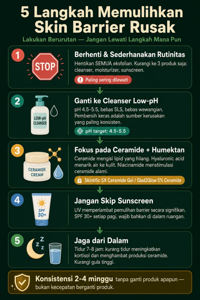 cara memulihkan skin barrier rusak 5 langkah ceramide moisturizer sunscreen rutinitas sederhana
