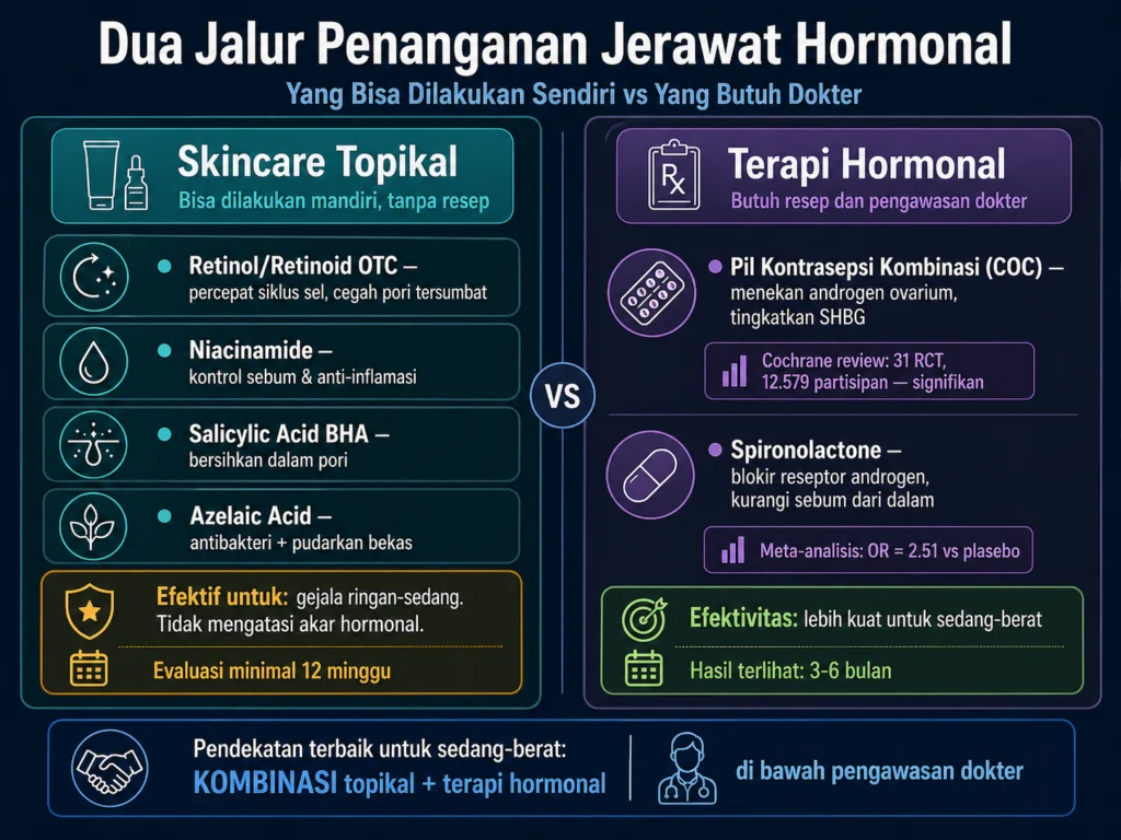 skincare topikal vs terapi hormonal jerawat hormonal perbandingan efektivitas kapan ke dokter