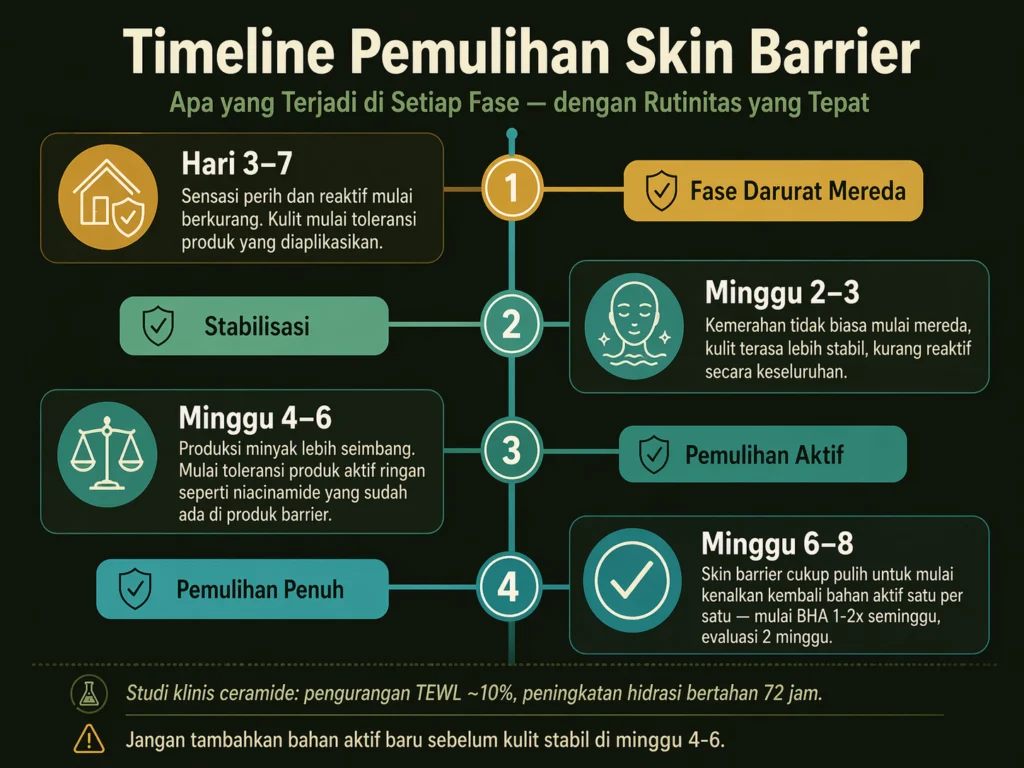 timeline pemulihan skin barrier berapa lama ceramide bekerja minggu pertama sampai kedelapan