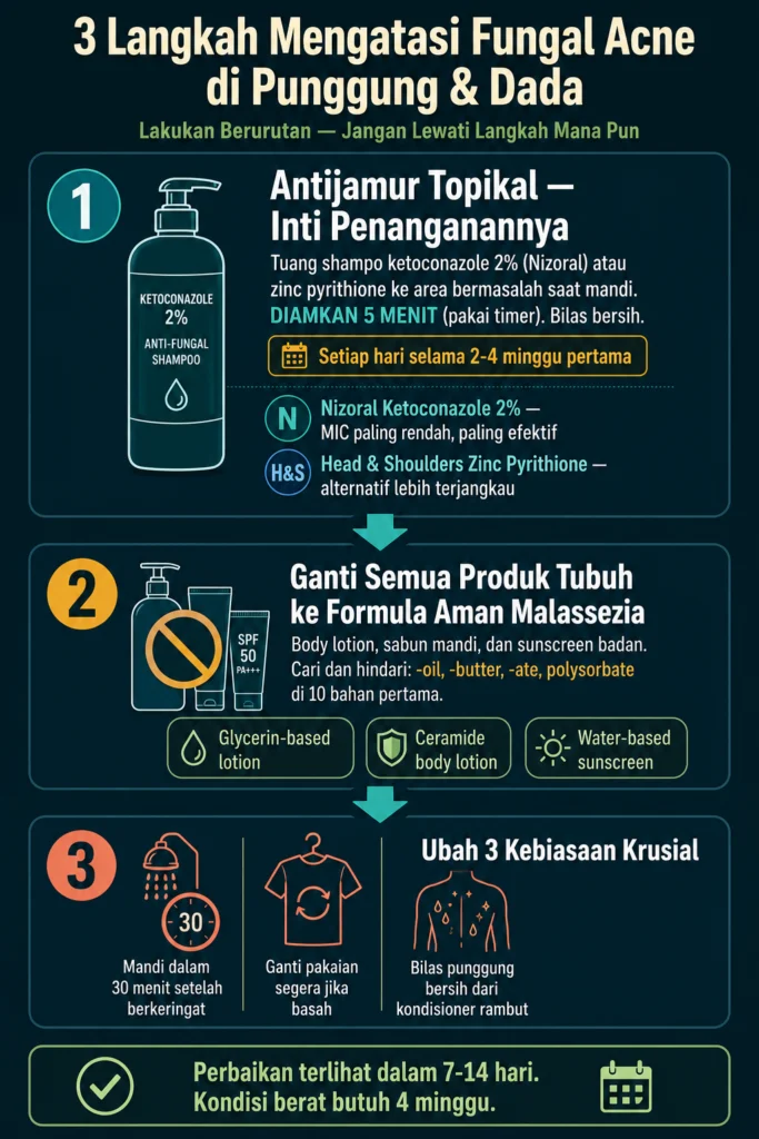 cara mengatasi fungal acne punggung dada 3 langkah ketoconazole ganti produk tubuh kebiasaan