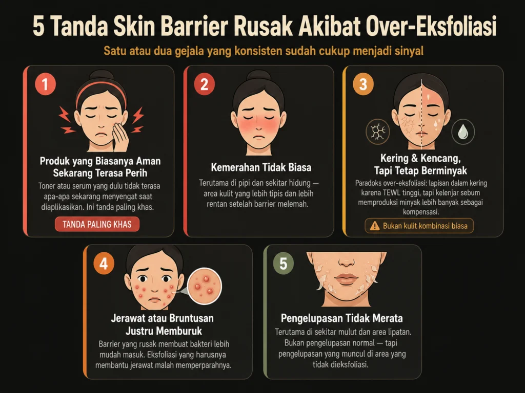 5 tanda skin barrier rusak akibat over eksfoliasi perih kering berminyak jerawat memburuk kemerahan