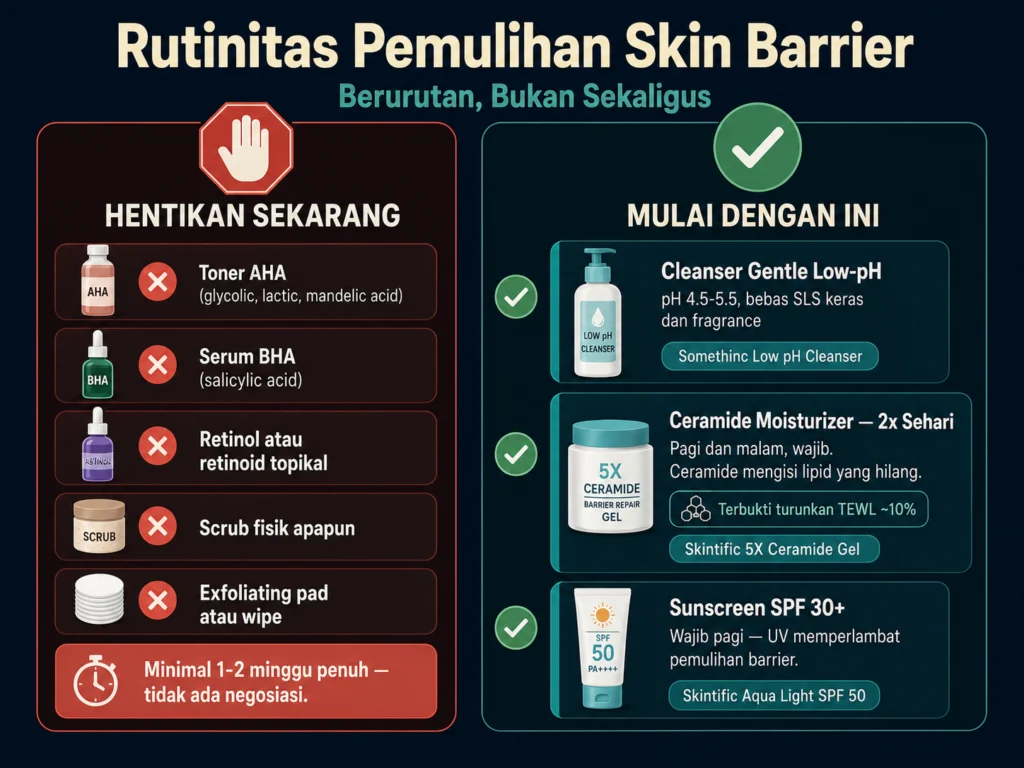 mekanisme over eksfoliasi kulit skin barrier rusak TEWL ceramide lipid terkikis ilustrasi